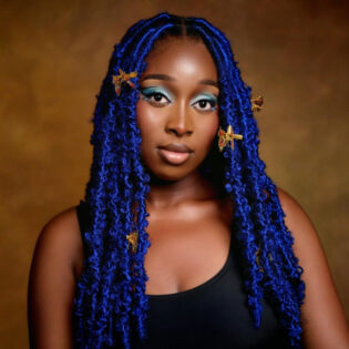Butterfly Locs